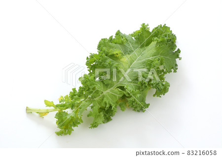 Kale Kale 83216058