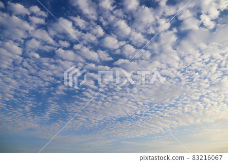 秋天的天空 秋天的天空 83216067