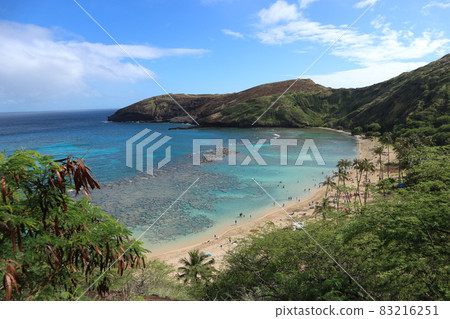 夏威夷海 83216251