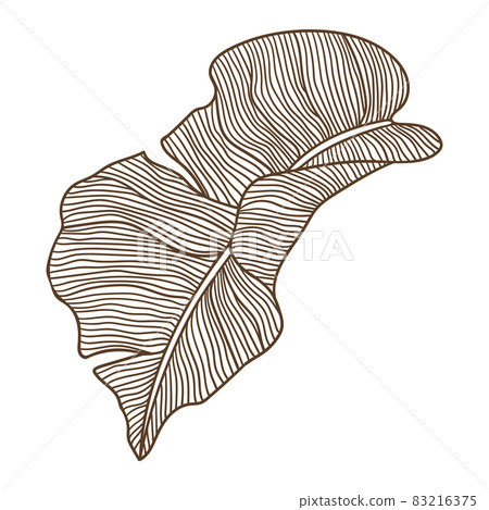 Illustration of stylized palm leaf. Decorative image of tropical foliage and plant. 83216375