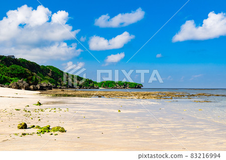 Scenery of the low tide coast and cape of the southern island (Okinoerabujima, Amami Islands, Kagoshima Prefecture) Scenery of the low tide coast and cape of the southern island (Okinoerabujima, Amami Islands, Kagoshima Prefecture) 83216994