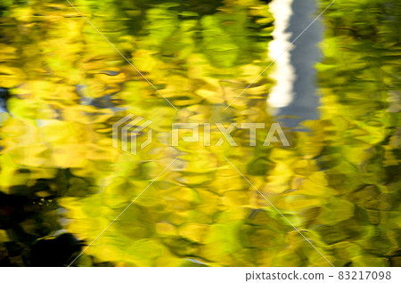 在水的表面反射的精采色的葉子 在水的表面反射的精采色的葉子 83217098