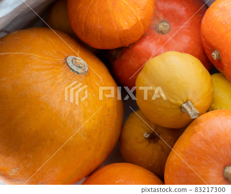 Several ripe pumpkins for Halloween. Autumn harvest. Several ripe pumpkins for Halloween. Autumn harvest. 83217300
