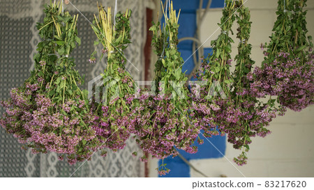 Bunches of oregano herbs. A healing plant with purple flowers. 83217620