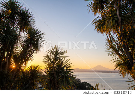 江之島的富士山夜景 83218713