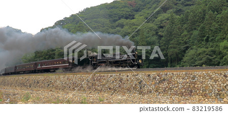 A train 83219586