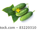 Three Whole Cucumbers With Leaves And Flower 83220310