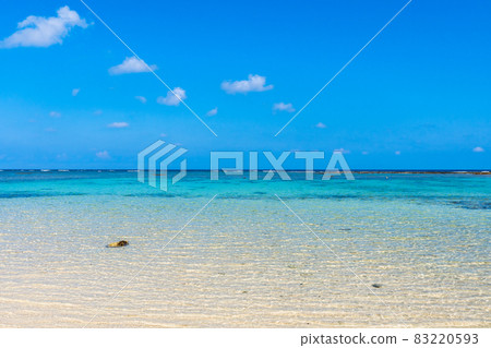 The sandy beach of the southern island and the clear blue sea (Okinoerabujima, Amami Islands, Kagoshima Prefecture) The sandy beach of the southern island and the clear blue sea (Okinoerabujima, Amami Islands, Kagoshima Prefecture) 83220593