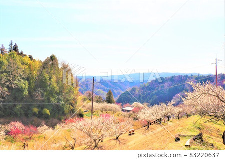 Tsukigase Bairin Tsukigase Bairin 83220637
