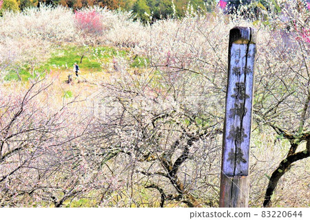Tsukigase Bairin Tsukigase Bairin 83220644