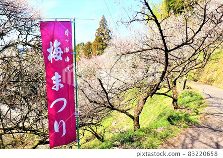 Tsukigase Bairin Tsukigase Bairin 83220658