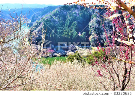 Tsukigase Bairin Tsukigase Bairin 83220685