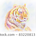 Tiger's illustration 83220813