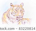 Tiger's illustration 83220814