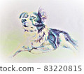 Border collie illustration 83220815