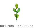 blueberry branches with green sprigs and blue and purple berries on a white background, isolated on a white background illustration of watercolor paints 83220978