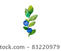 blueberry branches with green sprigs and blue and purple berries on a white background, isolated on a white background illustration of watercolor paints 83220979