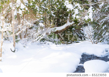 [Winter material] Freezing Zengorono Falls [Nagano Prefecture] 83223050
