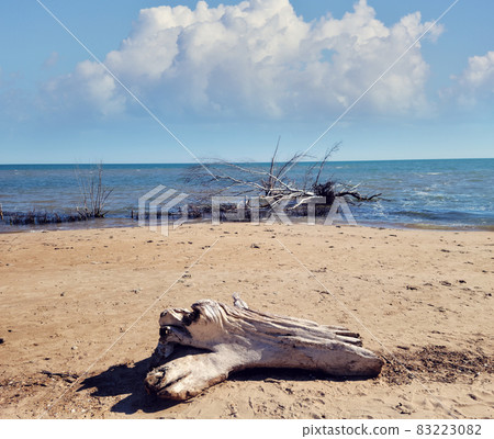 Beach at Lake Huron, Michigan, USA 83223082