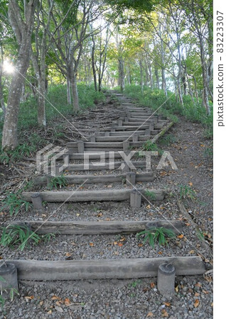 有木台階的山路 83223307