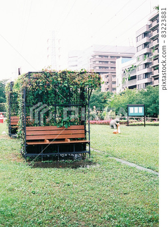 Park bench 83223881
