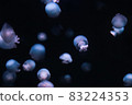 Horde of jellyfish 83224353