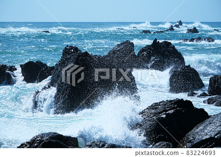 [Muroto Anankoku Kaigan Sada Park] Waves crashing against the rough shores of Cape Muroto 18 Muroto City, Kochi Prefecture 83224693