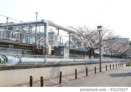 Spring Imafuku Sewage Treatment Plant where cherry blossoms bloom 83225027