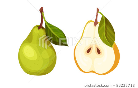 Fresh ripe pear set. Whole and cut in half organic fruit vector illustration Fresh ripe pear set. Whole and cut in half organic fruit vector illustration 83225718