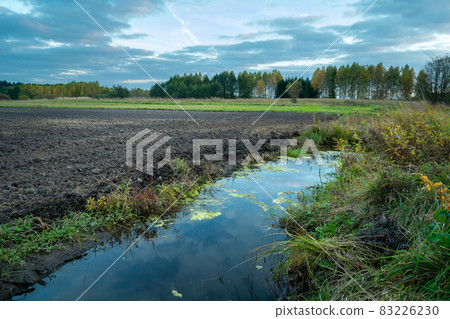 Rainwater in front of a plowed field, trees in the horizon Rainwater in front of a plowed field, trees in the horizon 83226230