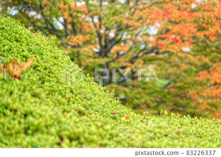 Kabuki: When it was colored 2 83226337