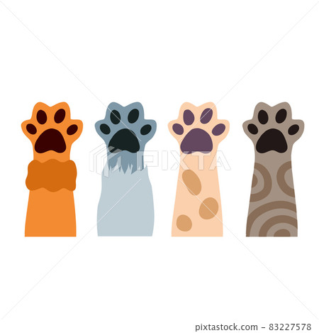 Set of different paw. Cat hands of different colors. Collection of breeds of Pets. Spots and stripes. Cartoon flat illustration. White, black, red, grey animal with fur Set of different paw. Cat hands of different colors. Collection of breeds of Pets. Spots and stripes. Cartoon flat illustration. White, black, red, grey animal with fur 83227578