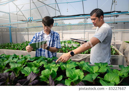 Farmers uses a tablet to take pictures of organic vegetables to track their growth in plant nursery farm. Smart agriculture technology concept. Farmers uses a tablet to take pictures of organic vegetables to track their growth in plant nursery farm. Smart agriculture technology concept. 83227687