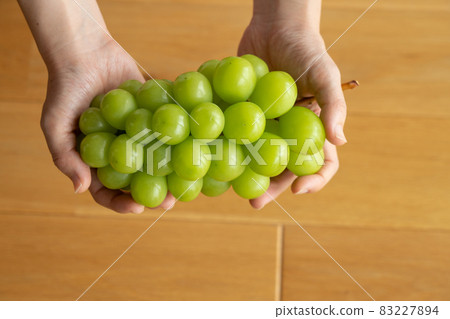 Female grapes with a bunch of Shine Muscat (September) Female grapes with a bunch of Shine Muscat (September) 83227894