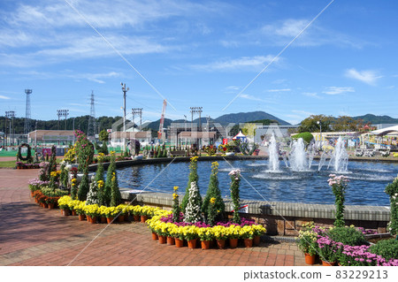 2021 Takefu Chrysanthemum Doll Echizen City, Fukui Prefecture 2021 Takefu Chrysanthemum Doll Echizen City, Fukui Prefecture 83229213