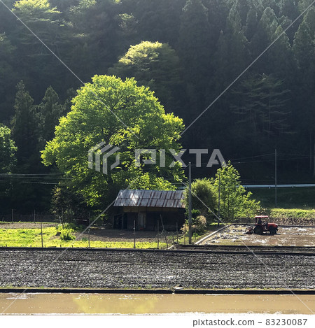 山水春天清新綠色稻田森林綠色 山水春天清新綠色稻田森林綠色 83230087