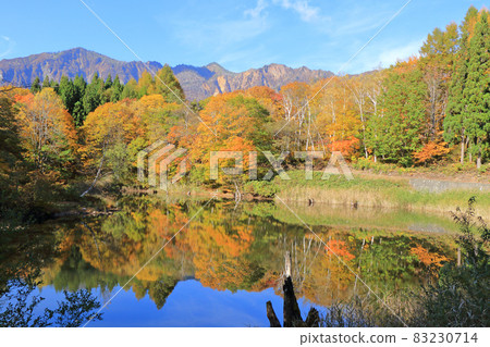 Autumn in Akiyamago Autumn in Akiyamago 83230714