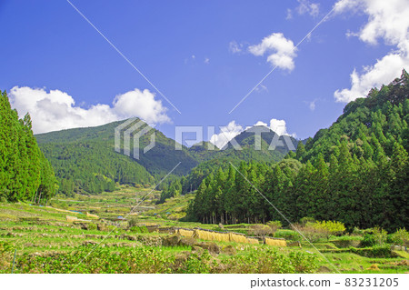 豐收時的四谷梯田-愛知縣新城市 83231205