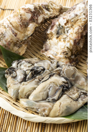 Raw oysters  83231366
