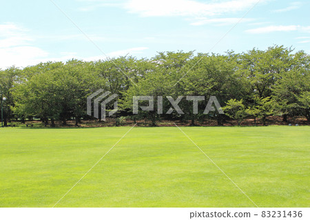 公園和草坪 83231436