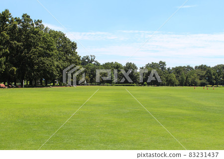 Park and lawn 83231437