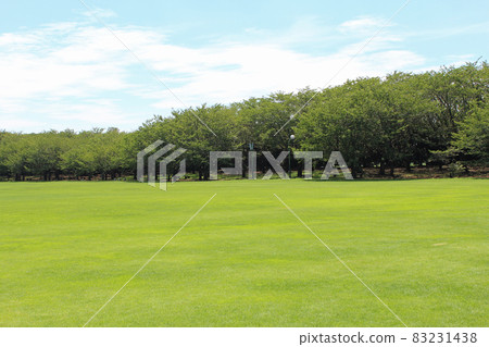 公園和草坪 公園和草坪 83231438