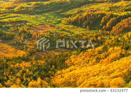 《群馬縣》 國道最高點澀谷日出的壯觀景色 《群馬縣》 國道最高點澀谷日出的壯觀景色 83232477