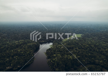 Amazon jungle. 83232787