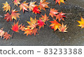 浸在水坑里的楓樹照片 83233388