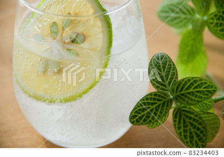 清爽的 Kabosu 碳酸水形象 清爽的 Kabosu 碳酸水形象 83234403
