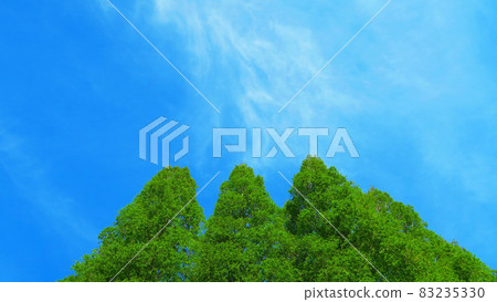 Kuki虹膜公園風景 83235330