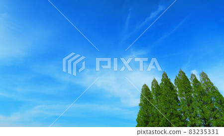 Scenery of Kuki iris park 83235331