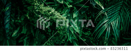 Tropical leaves as nature and environmental background, botanical garden and floral backdrop, plant growth and landscape design 83236311