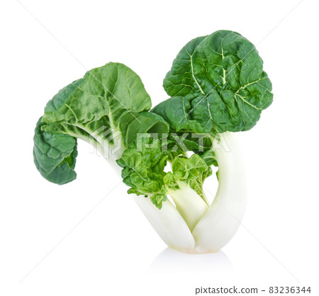 mini bok choy or bok choy isolated on white background 83236344